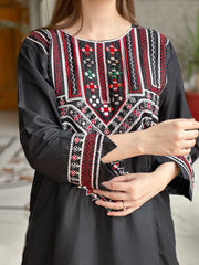 Sindhi V1 Embroidery 2Pc